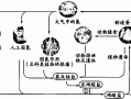 氮与植物群落生产力的关系（氮与植物群落生产力的关系是什么）