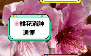 桃花怎么施肥（桃花需要施肥吗）