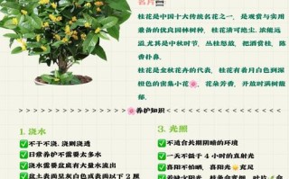 桂花如何修剪开花多（桂花怎么修剪枝叶及修剪时间）
