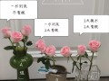 秋天给“月季”换个盆（夏天给月季换盆）