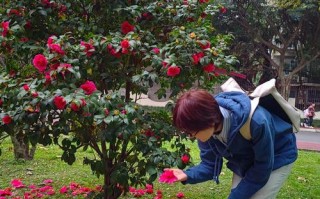 这花天热会断头（支付宝红包避雷挂哪里有卖）