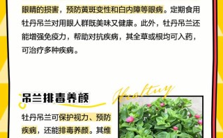 牡丹吊兰夏季怎么养（牡丹吊兰花期怎么护理）