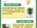 水养竹子太高从哪里剪（水养的竹子长太高可以掐尖吗）