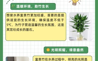 水养竹子太高从哪里剪（水养的竹子长太高可以掐尖吗）