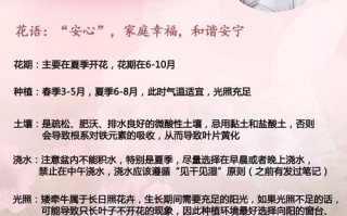 矮牵牛怎样才能爆盆（矮牵牛盆栽播种繁殖要点）