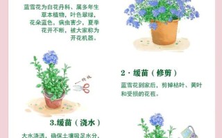 蓝雪花怎么打顶（蓝雪花打顶了的叶子可以扦插吗）