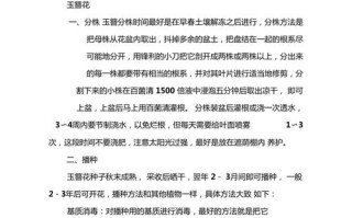 玉簪花怎么繁殖（玉簪花繁殖快吗）