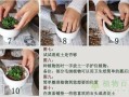 东北鲜花绿植怎么养护和浇水（东北绿化花卉大全）