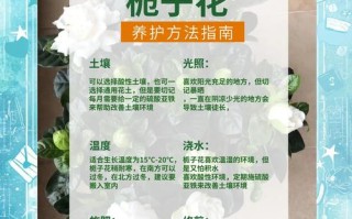 栀子花怎样开花多（栀子花怎样开的花才会多）