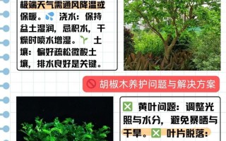 胡椒木的繁殖方法（胡椒木的繁殖方法有哪些）