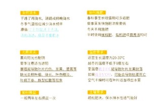 幸福树为什么不发新芽（幸福树为什么不发新芽了）