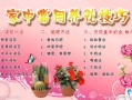 观叶植物养护知识大全（观叶植物1000种经典图鉴）
