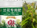 兰花用什么肥料比较好（兰花用什么土栽培比较好）