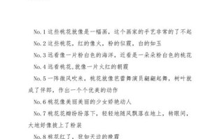 给花撑把太阳伞（给花撑把太阳伞图片）