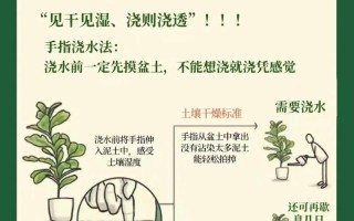 绿萝君子兰...山东大妈这么养（绿花君子兰怎么培养出来的）