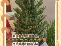 富贵竹怎么扦插（富贵竹怎么扦插繁殖）