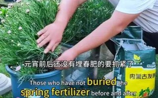别再买肥料了（去买施肥的东西）