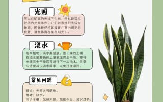虎皮兰施什么肥好（虎皮兰该施什么肥）