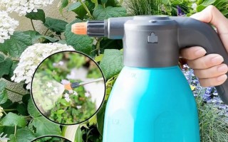 用这些水浇花（用这些水浇花可以吗）