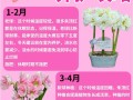 朱顶红怎么休眠（朱顶红怎么休眠成功）