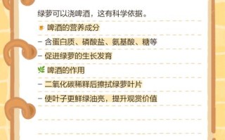 啤酒浇绿萝的正确方法（啤酒浇绿萝的正确方法,啤酒怎样发酵才能浇花）