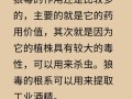 断肠草的繁殖方法（断肠草的繁殖方法图解）