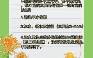菊花春天怎么养（菊花春天养护注意事项）