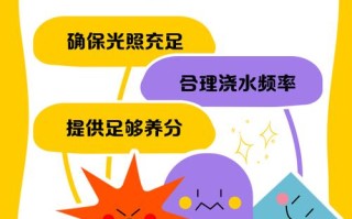 花老黄叶发蔫（花老黄叶怎么办）