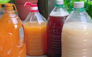 淘米水花肥的制作方法（淘米水肥料制作）