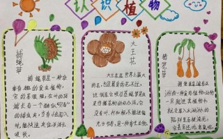 保护本土植物的知识（保护植物主题绘画）