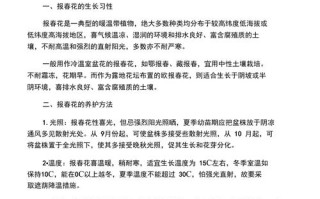 报春花如何播种（报春花播种后多长时间开花）