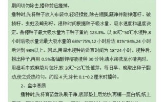 香椿种子怎么种植（香椿种子怎么种植过程）
