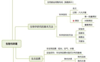 春季蕨类植物养护知识大全（蕨类植物养殖注意事项 绝对有用）