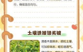 清香木冬天怎么养（清香木怎么过冬天）