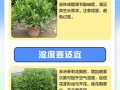 茉莉秋天怎么养（茉莉秋天怎么养护和管理）