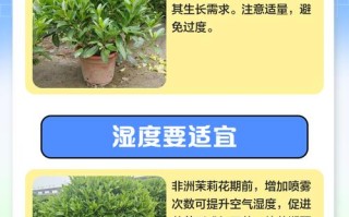 茉莉秋天怎么养（茉莉秋天怎么养护和管理）