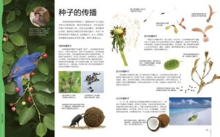 常见植物小百科知识大全（植物知识百科青少年知识小百科书籍）