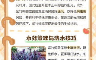 紫竹梅怎么浇水（紫竹梅浇水的害处）