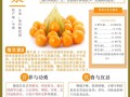 酸浆的养殖方法和注意事项（酸浆的种植方法）