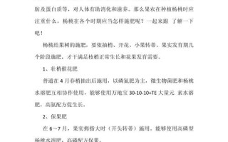 阳桃怎么施肥（阳桃属于蔷薇科吗）