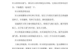 红豆杉怎么养长得快（红豆杉怎么家养）