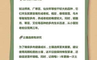 多肉如何养成老桩（多肉如何养出老桩）