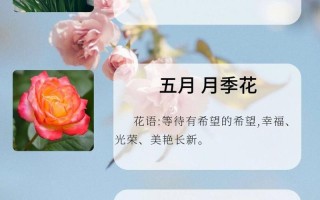 如何使铁线莲在元旦开花的简单介绍
