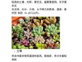 关于植物的养护知识有哪些（植物养护口诀）