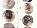 家里怎么种金针菇（家里怎么种金针菇苗）
