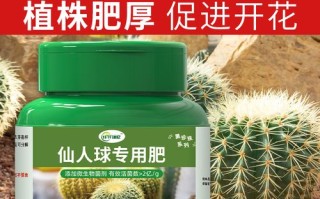 仙人掌施肥用什么肥料（仙人掌类用什么肥）