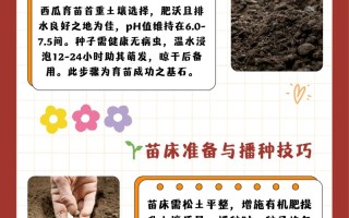 西瓜种子怎么种（金黄西瓜种子怎么种）