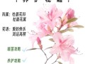 如何让杜鹃花四季开花（如何让杜鹃花开花不断）