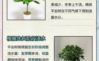 平安树多久浇一次水（平安树多久浇一次水为正常?）