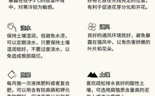 栀子花怎么延长花期（栀子花怎么让他多发芽）